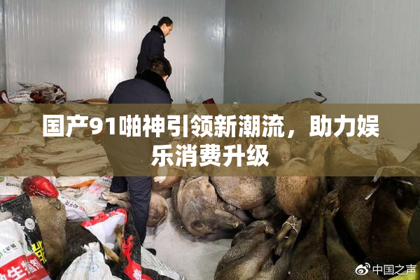 国产91啪神引领新潮流，助力娱乐消费升级
