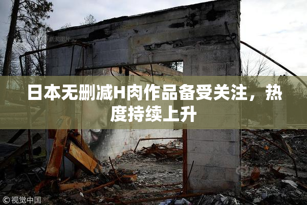 日本无删减H肉作品备受关注，热度持续上升