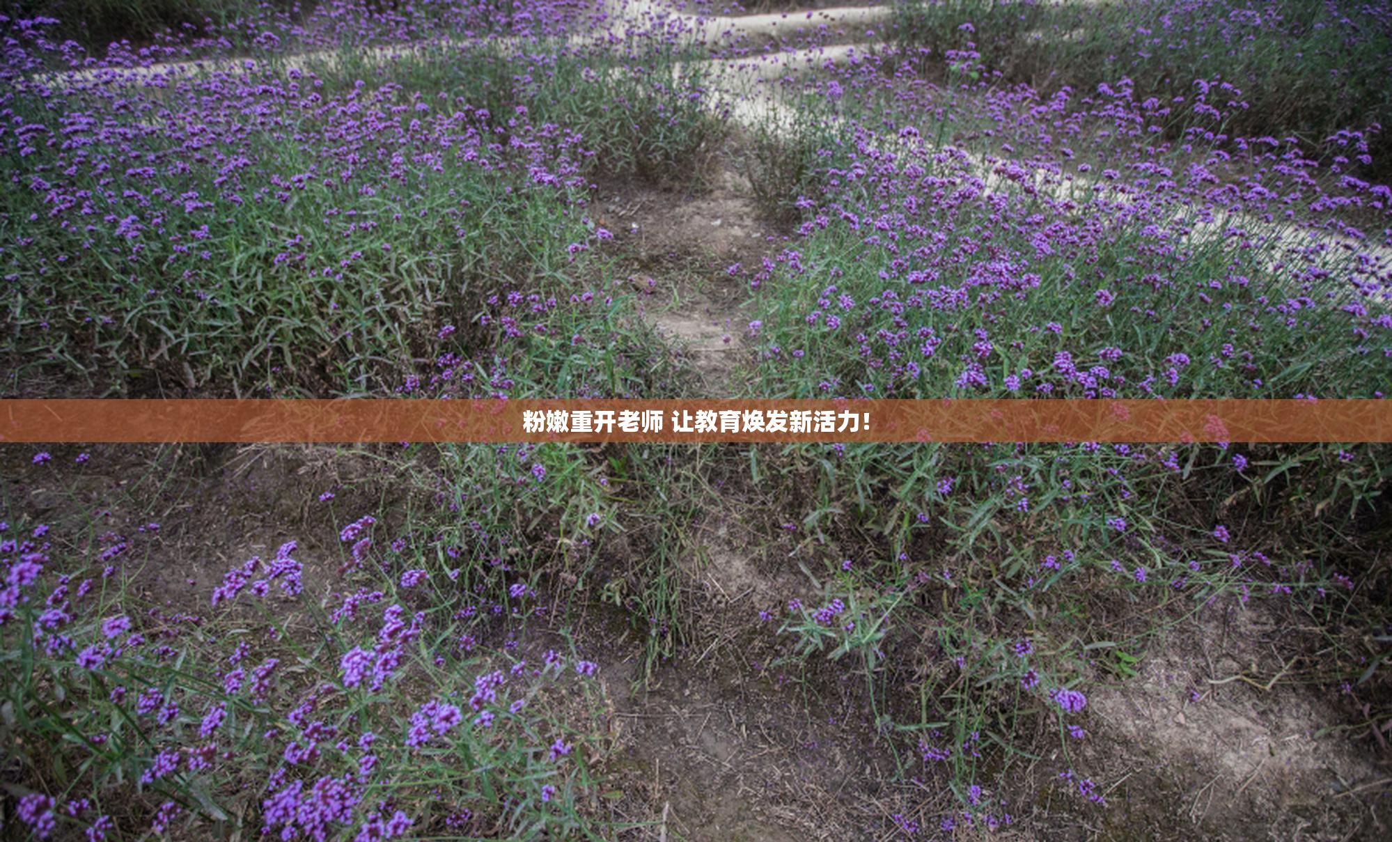 粉嫩重开老师 让教育焕发新活力！