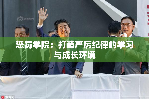 惩罚学院：打造严厉纪律的学习与成长环境
