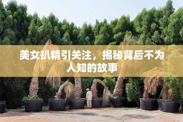 美女扒精引关注，揭秘背后不为人知的故事