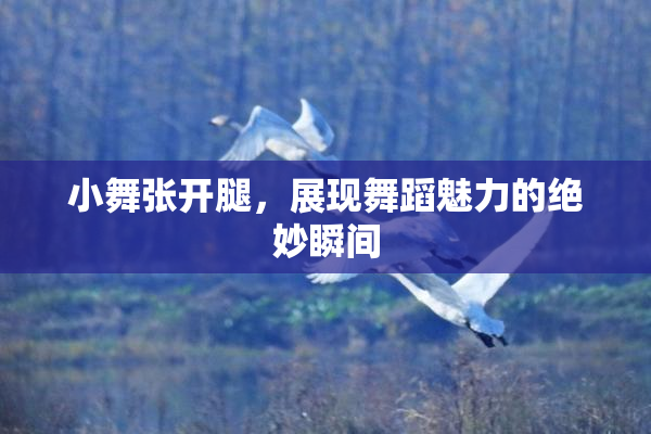 小舞张开腿，展现舞蹈魅力的绝妙瞬间
