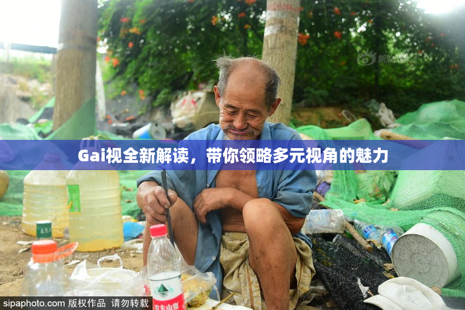 Gai视全新解读，带你领略多元视角的魅力
