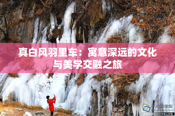 真白风羽里车：寓意深远的文化与美学交融之旅