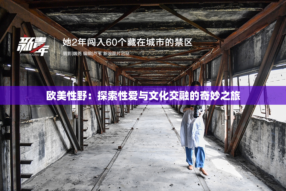 欧美性野：探索性爱与文化交融的奇妙之旅