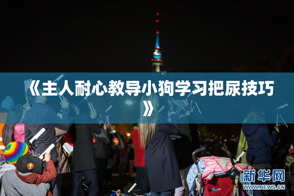 《主人耐心教导小狗学习把尿技巧》