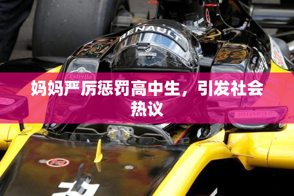 妈妈严厉惩罚高中生，引发社会热议
