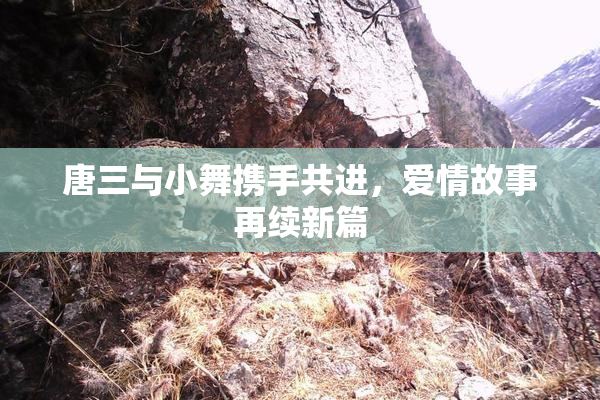 唐三与小舞携手共进，爱情故事再续新篇