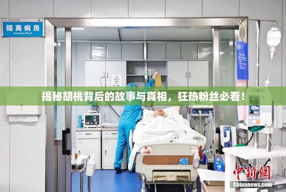 揭秘胡桃背后的故事与真相，狂热粉丝必看！