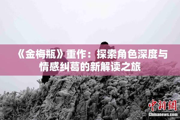 《金梅瓶》重作：探索角色深度与情感纠葛的新解读之旅