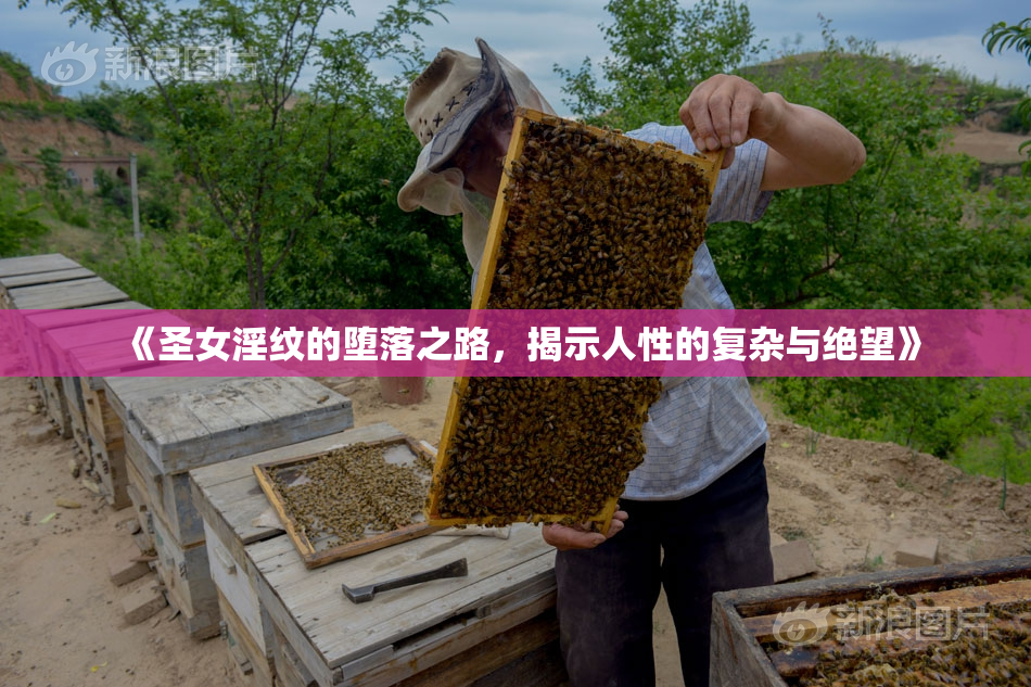 《圣女淫纹的堕落之路，揭示人性的复杂与绝望》