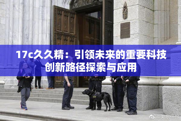17c久久精：引领未来的重要科技创新路径探索与应用