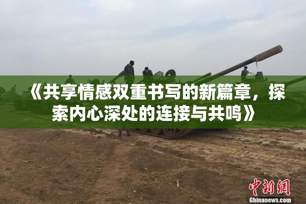 《共享情感双重书写的新篇章，探索内心深处的连接与共鸣》