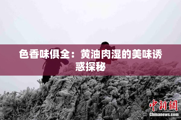 色香味俱全：黄油肉湿的美味诱惑探秘