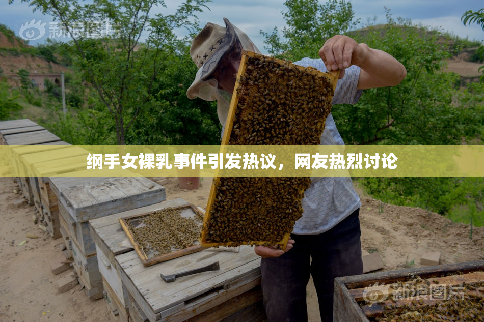 纲手女裸乳事件引发热议，网友热烈讨论