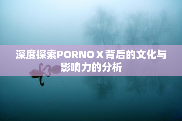 深度探索PORNOⅩ背后的文化与影响力的分析