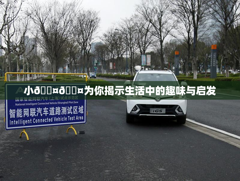 小🐤🐤为你揭示生活中的趣味与启发