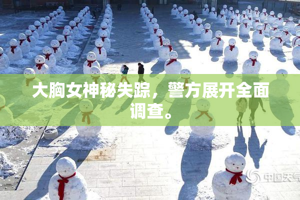 大胸女神秘失踪，警方展开全面调查。
