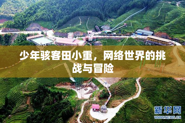 少年骇客田小重，网络世界的挑战与冒险