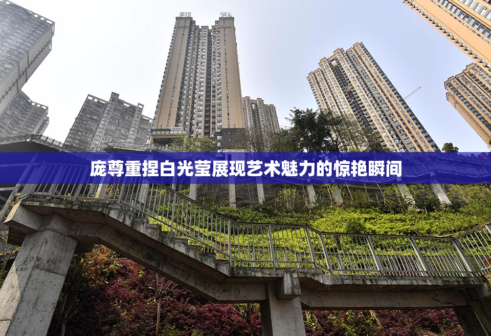庞尊重捏白光莹展现艺术魅力的惊艳瞬间