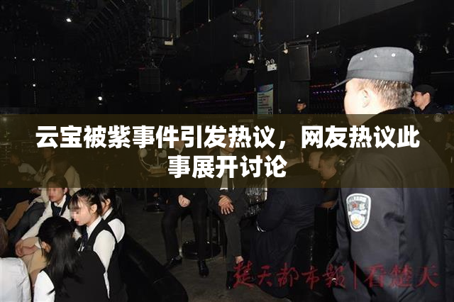 云宝被紫事件引发热议，网友热议此事展开讨论