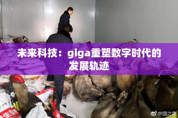 未来科技：giga重塑数字时代的发展轨迹