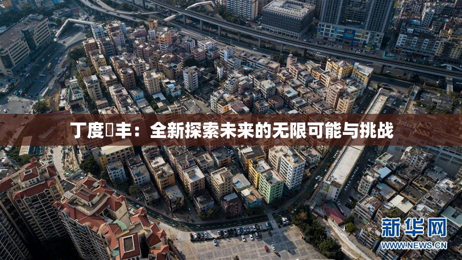 丁度巜丰：全新探索未来的无限可能与挑战