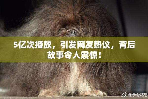 5亿次播放，引发网友热议，背后故事令人震惊！