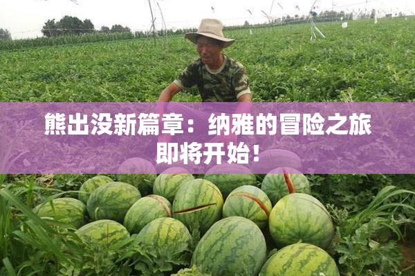 熊出没新篇章：纳雅的冒险之旅即将开始！
