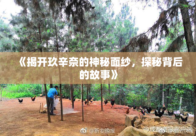 《揭开玖辛奈的神秘面纱，探秘背后的故事》