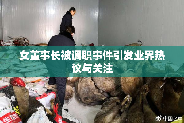 女董事长被调职事件引发业界热议与关注