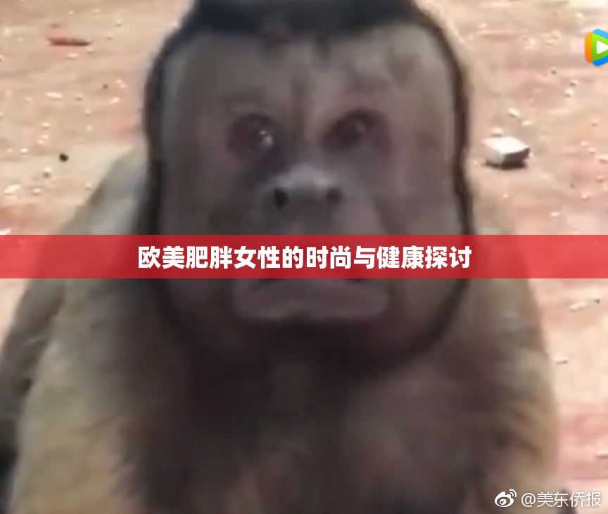 欧美肥胖女性的时尚与健康探讨