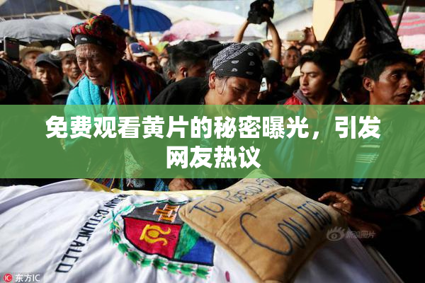 免费观看黄片的秘密曝光，引发网友热议