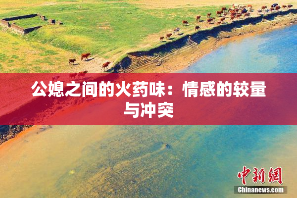 公媳之间的火药味：情感的较量与冲突