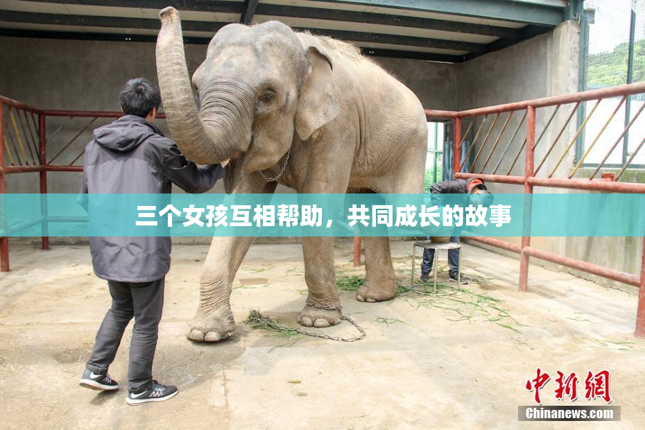 三个女孩互相帮助，共同成长的故事