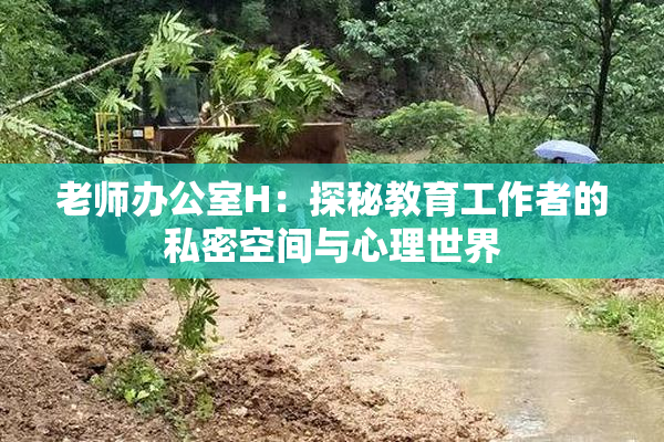 老师办公室H：探秘教育工作者的私密空间与心理世界