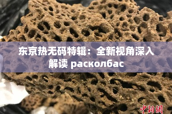 东京热无码特辑：全新视角深入解读 расколбас
