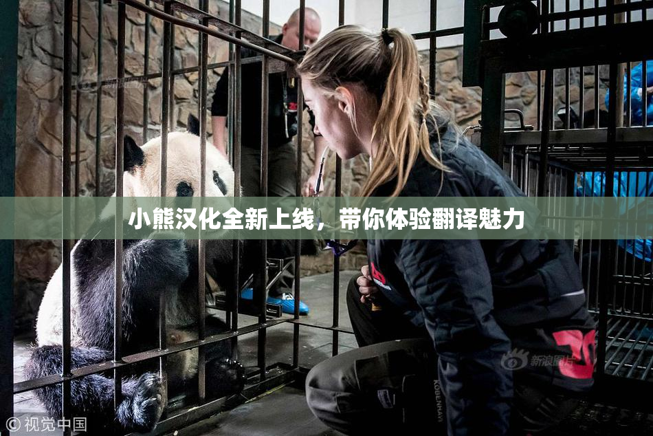 小熊汉化全新上线，带你体验翻译魅力