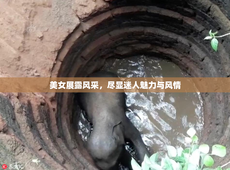 美女展露风采，尽显迷人魅力与风情