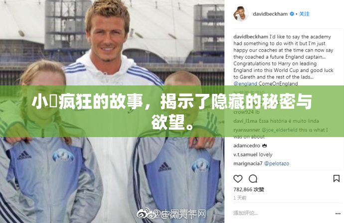 小泬疯狂的故事，揭示了隐藏的秘密与欲望。