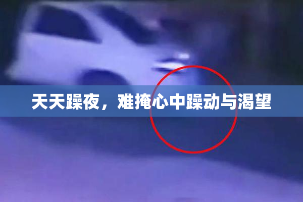 天天躁夜，难掩心中躁动与渴望