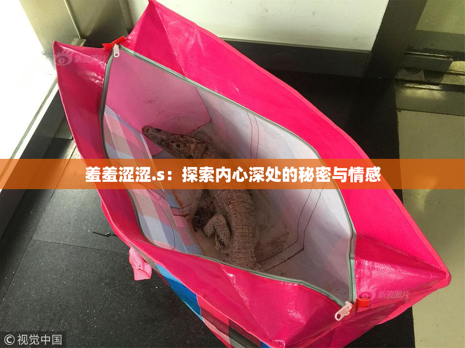羞羞涩涩.s：探索内心深处的秘密与情感