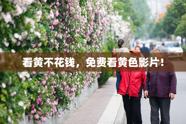 看黄不花钱，免费看黄色影片！