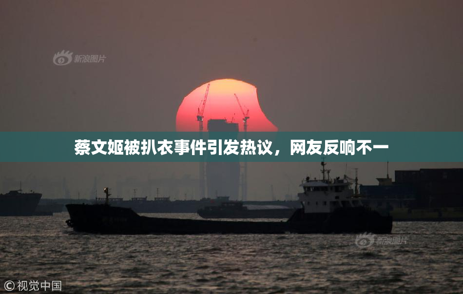 蔡文姬被扒衣事件引发热议，网友反响不一