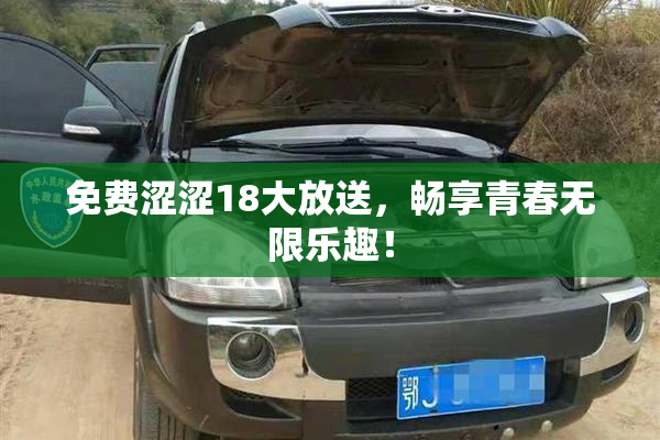 免费涩涩18大放送，畅享青春无限乐趣！