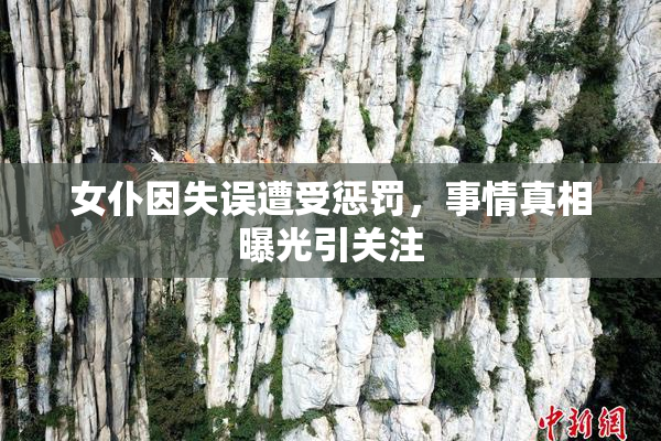 女仆因失误遭受惩罚，事情真相曝光引关注