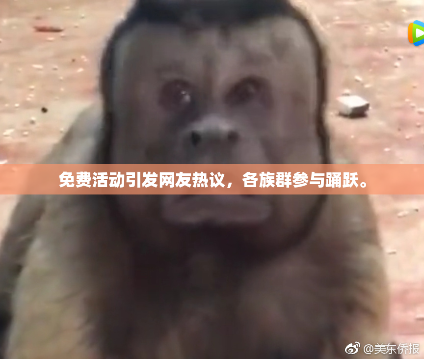 免费活动引发网友热议，各族群参与踊跃。