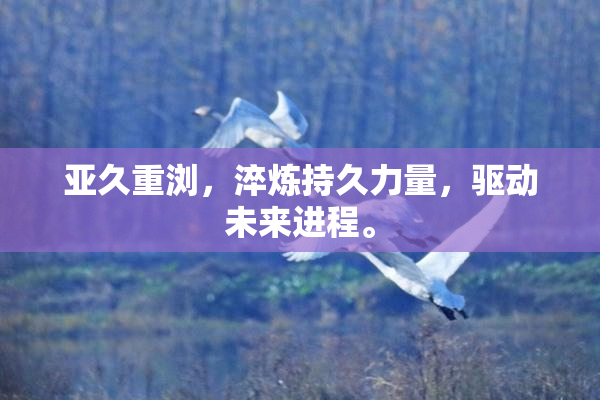 亚久重浏，淬炼持久力量，驱动未来进程。