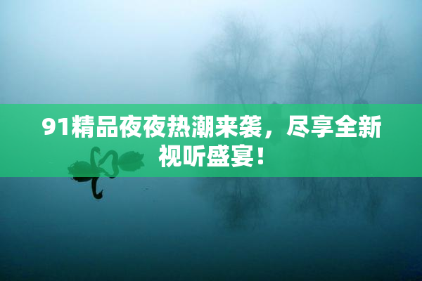 91精品夜夜热潮来袭，尽享全新视听盛宴！