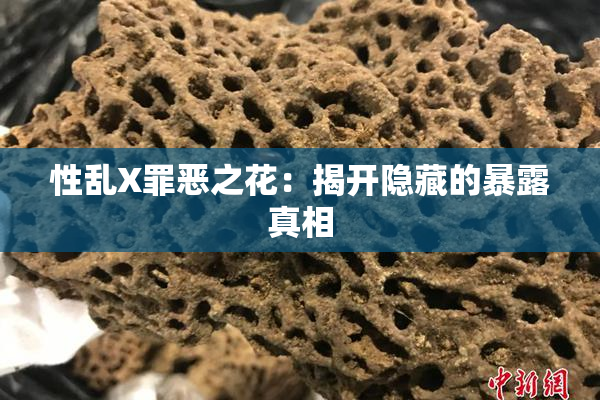 性乱X罪恶之花：揭开隐藏的暴露真相